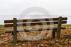 Park bench and tree on lake Chiemsee, Germany