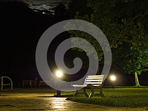 Park Bench and Tree at Night