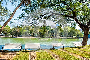 Park bench under big tree overlooking the water or lake