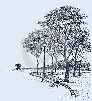 Panchine alberi. vettore disegno 