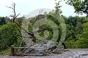 Park bench in Valley of River Bode