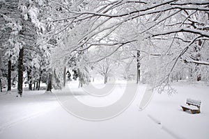 Park Bench in Winter