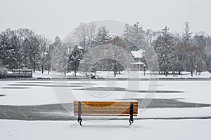 Park Bench in Winter