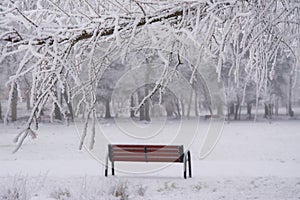 Park bench in the winter