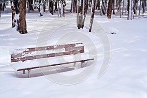 Park Bench after Winter Storm in Canada