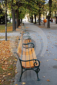 Park benches, autumn photo