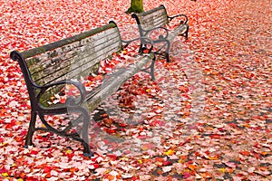 Park Benches in the Fall