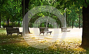 Park benches and fog