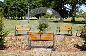 Park Benches in a Grassy Field on a Sunny Day