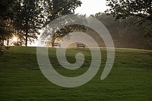 Park Benches in Morning Light