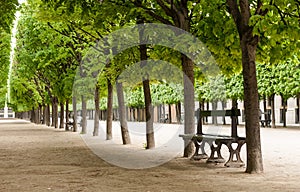 Park with benches in Paris