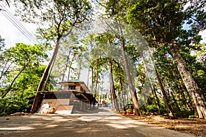 Park at Bhubing palace