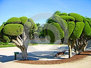 Park Buen-Retiro, Madrid, Spain photo