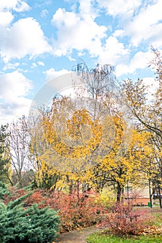 Park between buildings at autumns in Slovakia