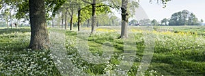 Park of castle De Haar near utrecht in holland with spring flowers