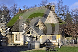 The park of the castle of Versailles