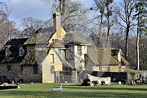 The park of the castle of Versailles