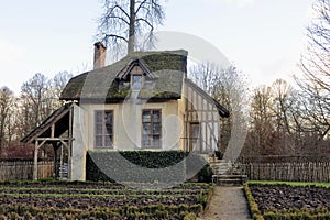 The park of the castle of Versailles