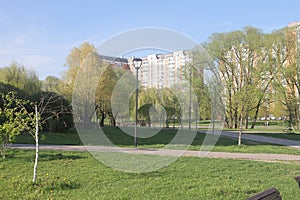 Park in the center of the city in the spring in sunny weather