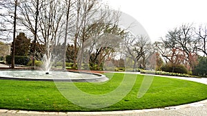 Park Center with Water Fountain