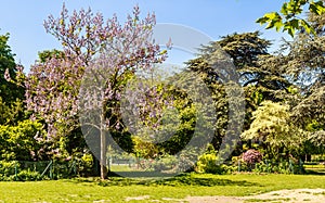 Park Champ de Mars in Paris