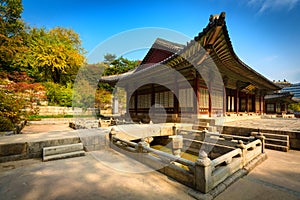 Park of Changgyeonggung Palace, Seoul, South Korea.