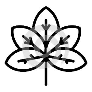 Park chetnut leaf icon, outline style