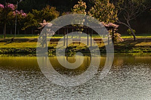 Park in the city of GoiÃÂ¢nia. photo