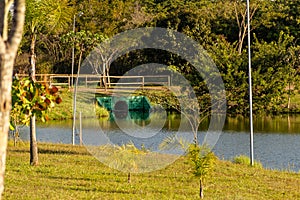 Park in the city of GoiÃ¢nia.