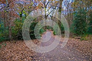 Park in the city of London on winter season