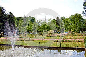 Park in the city of nancy france