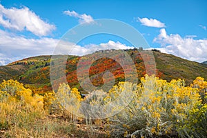 Park City, Utah, USA foliage along the Wasatch Back photo