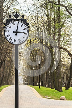 Park clock on spring alley background