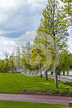 Park in Cluj-Napoca
