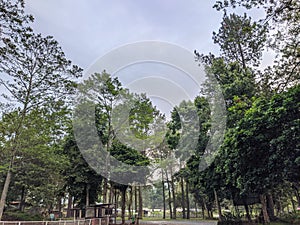 The Park on Coban Rondo