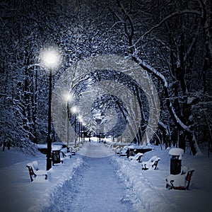 Park covered with snow at night