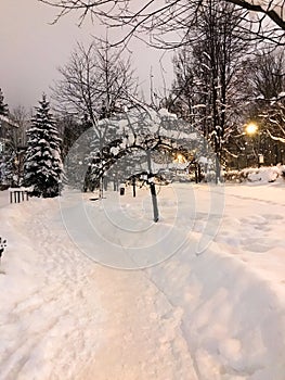 A park covered in snow. A winter evening in a tourist mountain town. Zakopane, Tatra Mountains, Poland, Europe