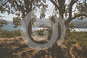 Park covered in trees and bushes surrounded by the sea with hills and greenery on the background