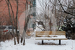 Park covered with white snow in winter season