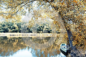 Park do caminho fundo,Portugal. photo