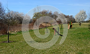 Park for dogs. training ground for dogs. Tunnels and beams, obstacle courses made of acacia and plastic. to design a new playgroun