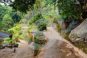 Park at Doi Pui Mong hill tribe village
