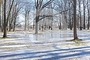 Park in early spring on a bright sunny day, snowmelt in March, spring flood