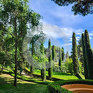 Park in English style. Cypress trees, pines and green lawns. Spring.