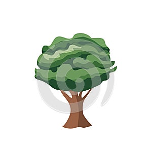 Park or forest tree vector illustration design template elements