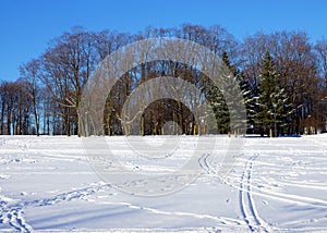 Park on a frosty winter day