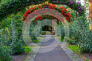 Park of Garcia Sanabria at Santa Cruz de Tenerife, Canary islands, Spain