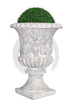 Park/garden flowerpot with evergreen plant photo