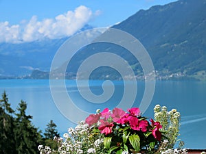 A park with a garden and green areas next to the Grand Hotel Giessbach above Lake Brienz Brienzersee - Canton of Bern