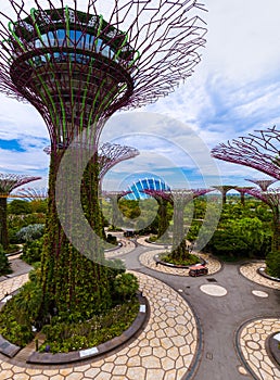 Park Gardens by the Bay - Singapore